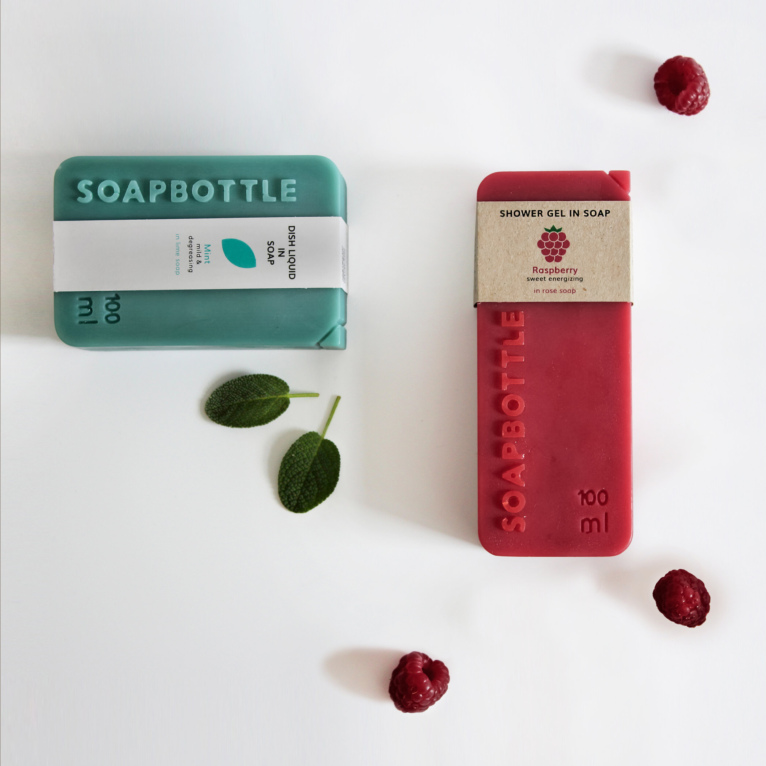 SOAPBOTTLEs with fruits